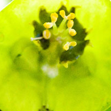 平台在线ddos压力测试